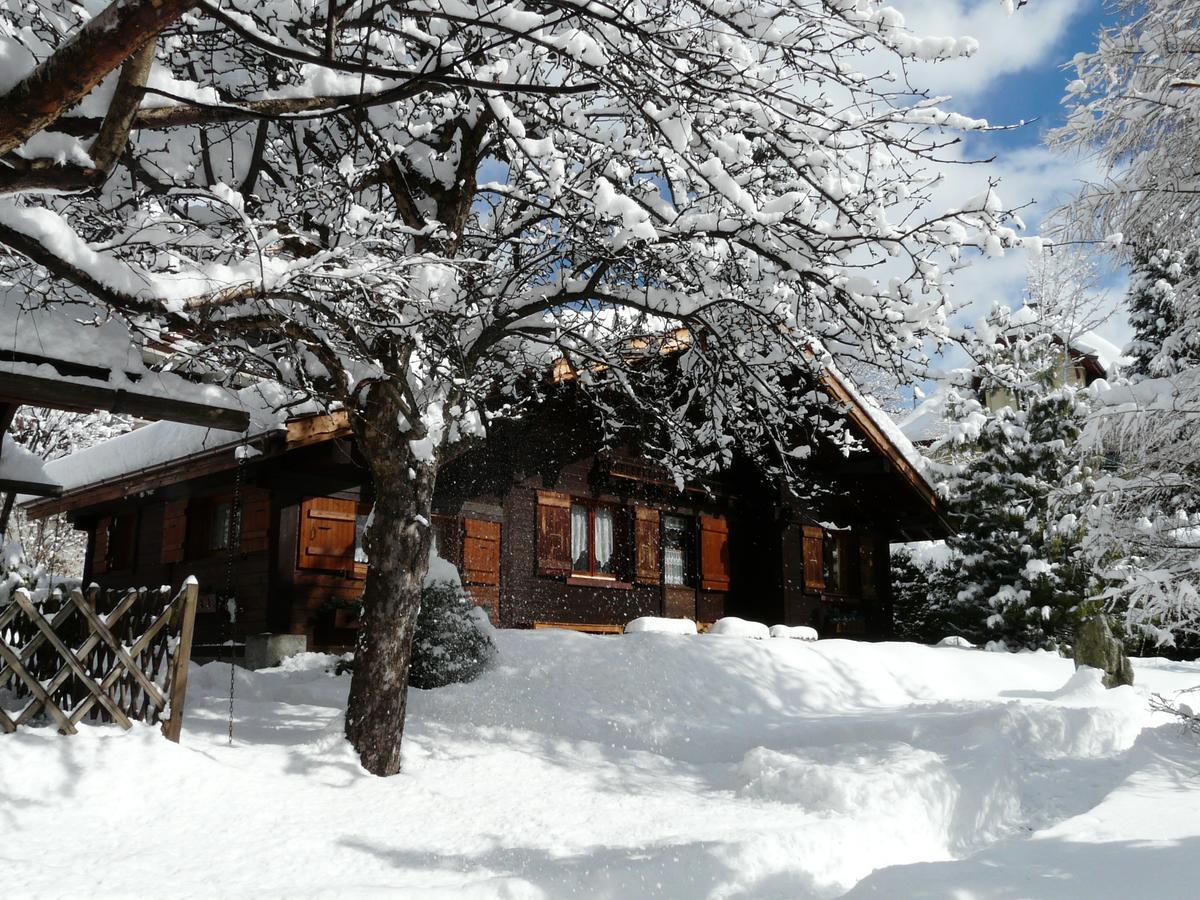 Chalet Des Glaciers 샤모니 외부 사진